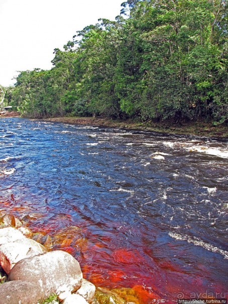 На пути к Анхелю... по реке Кереп