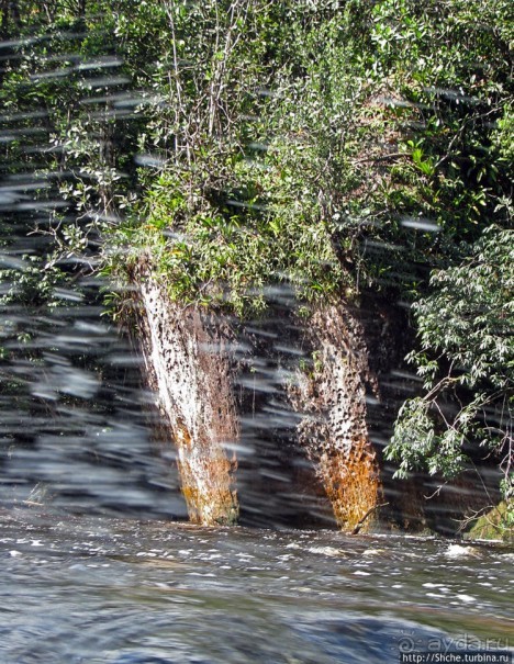На пути к Анхелю... по реке Кереп