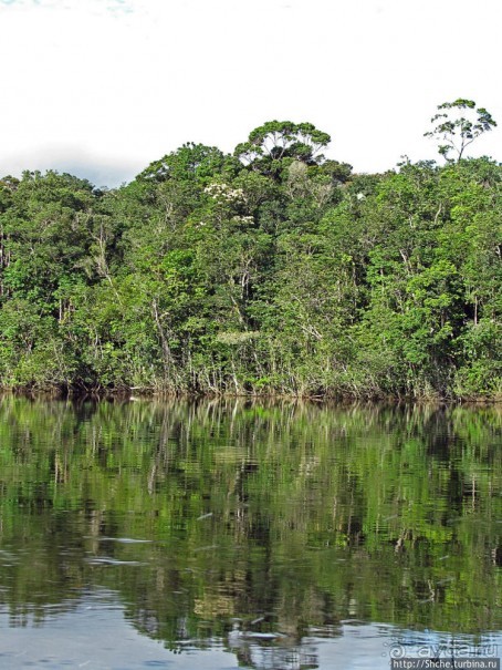 На пути к Анхелю... по реке Кереп