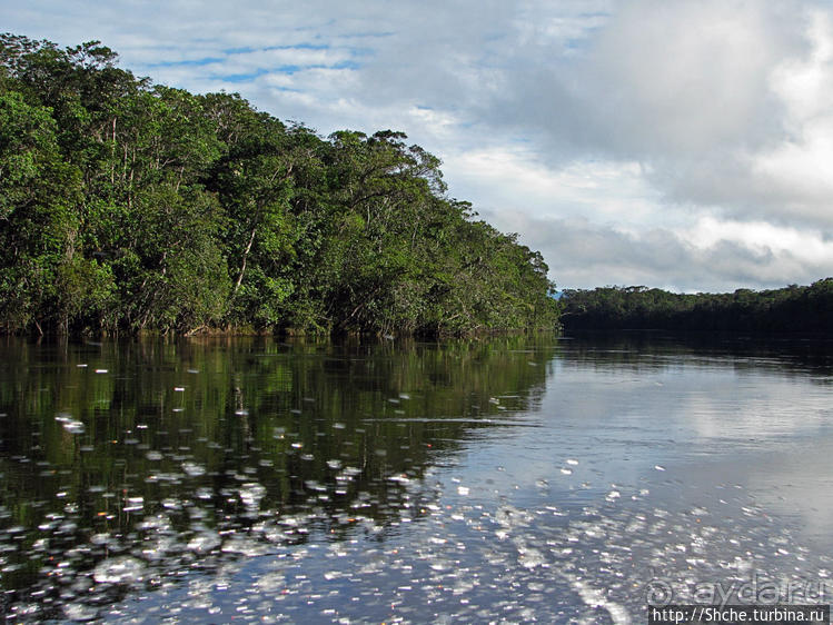 На пути к Анхелю... по реке Кереп