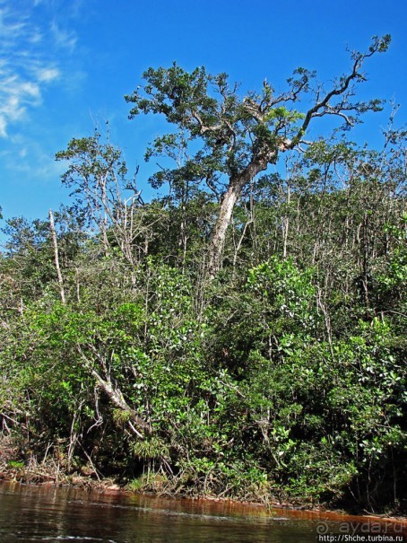 На пути к Анхелю... по реке Кереп