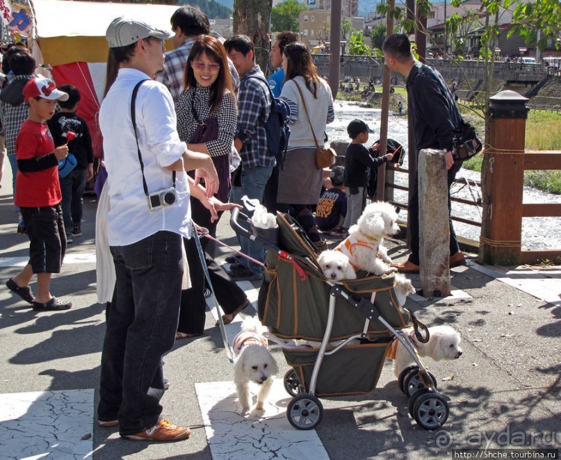 Осенний воскресный день на улицах Такаямы