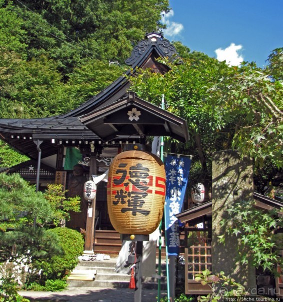 Осенний воскресный день на улицах Такаямы