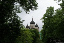 По Старому Таллину с Иваном ivankutchin