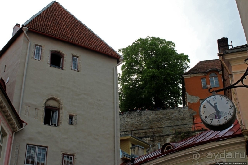 По Старому Таллину с Иваном ivankutchin