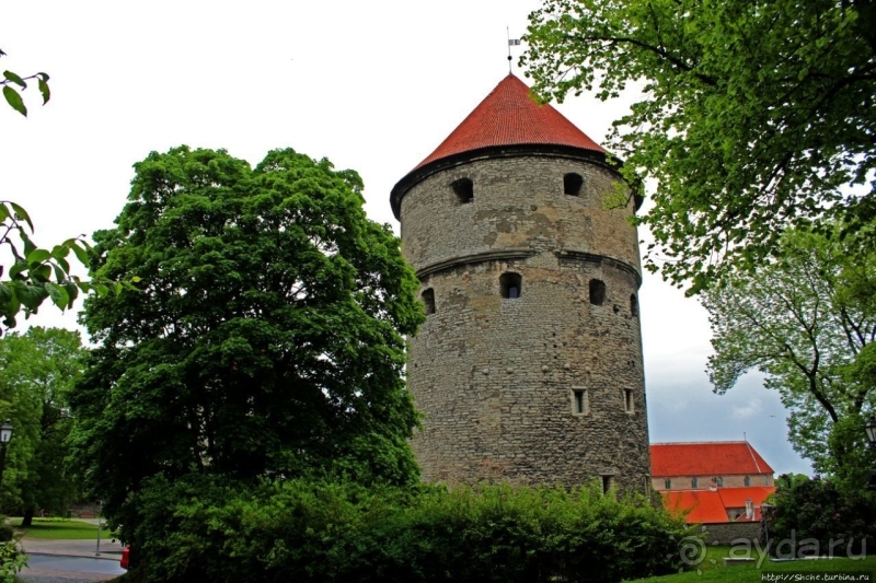 По Старому Таллину с Иваном ivankutchin