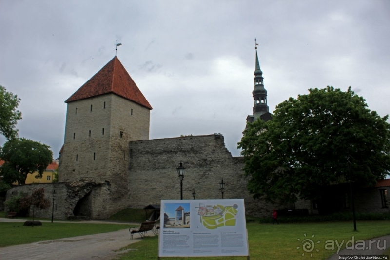 По Старому Таллину с Иваном ivankutchin