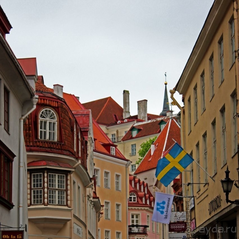 По Старому Таллину с Иваном ivankutchin