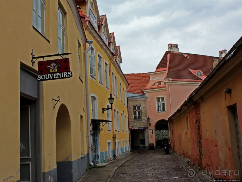 По Старому Таллину с Иваном ivankutchin