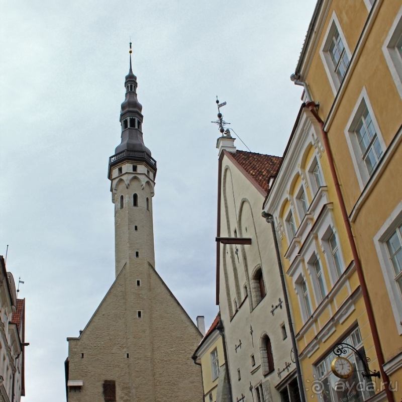 По Старому Таллину с Иваном ivankutchin