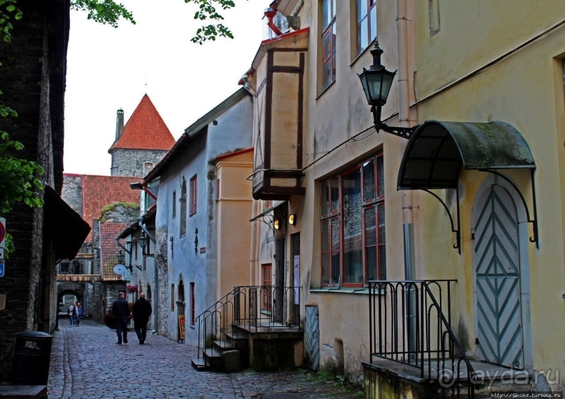 По Старому Таллину с Иваном ivankutchin