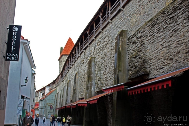 По Старому Таллину с Иваном ivankutchin