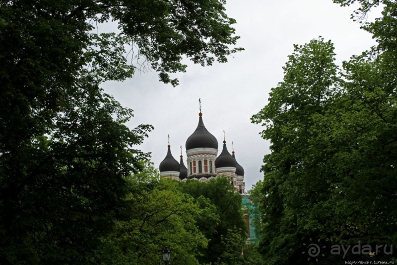 По Старому Таллину с Иваном ivankutchin