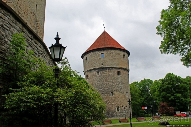 По Старому Таллину с Иваном ivankutchin