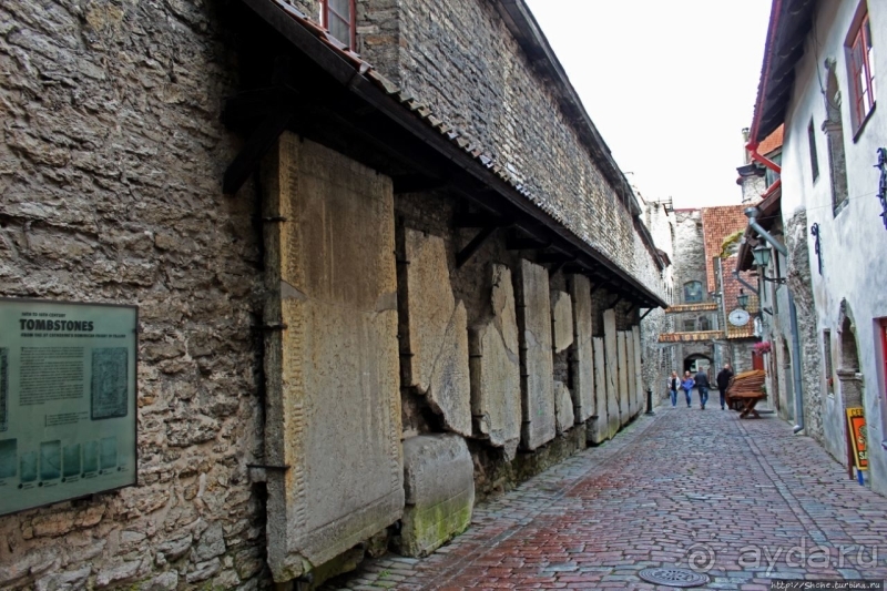 По Старому Таллину с Иваном ivankutchin