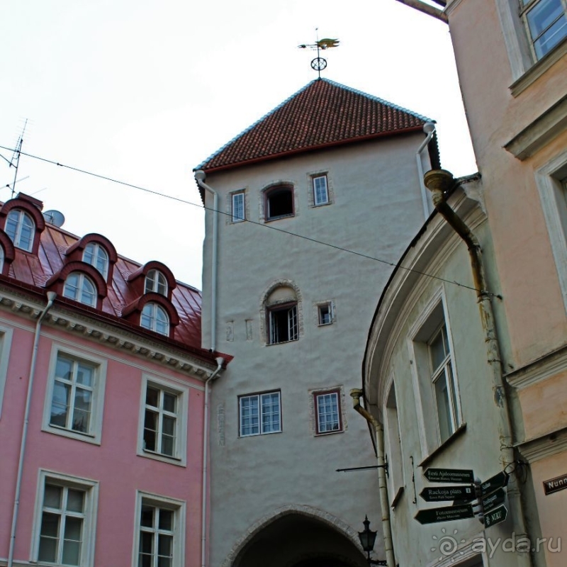 По Старому Таллину с Иваном ivankutchin