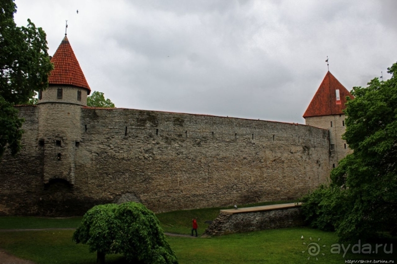По Старому Таллину с Иваном ivankutchin