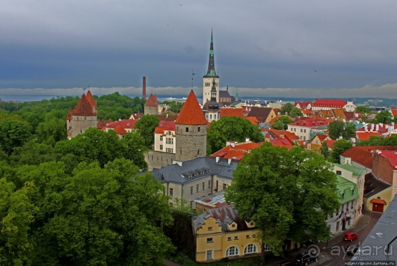 По Старому Таллину с Иваном ivankutchin