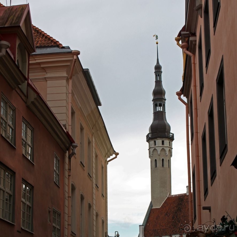 По Старому Таллину с Иваном ivankutchin