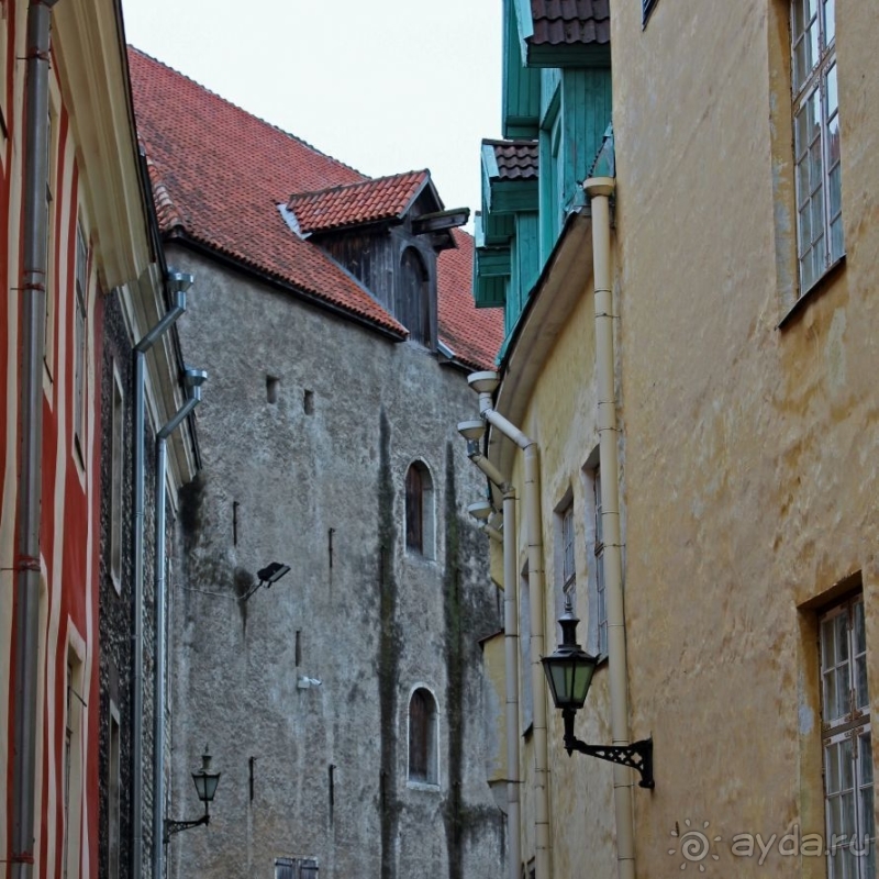 По Старому Таллину с Иваном ivankutchin
