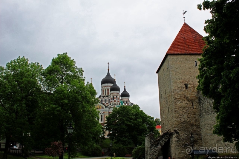 По Старому Таллину с Иваном ivankutchin