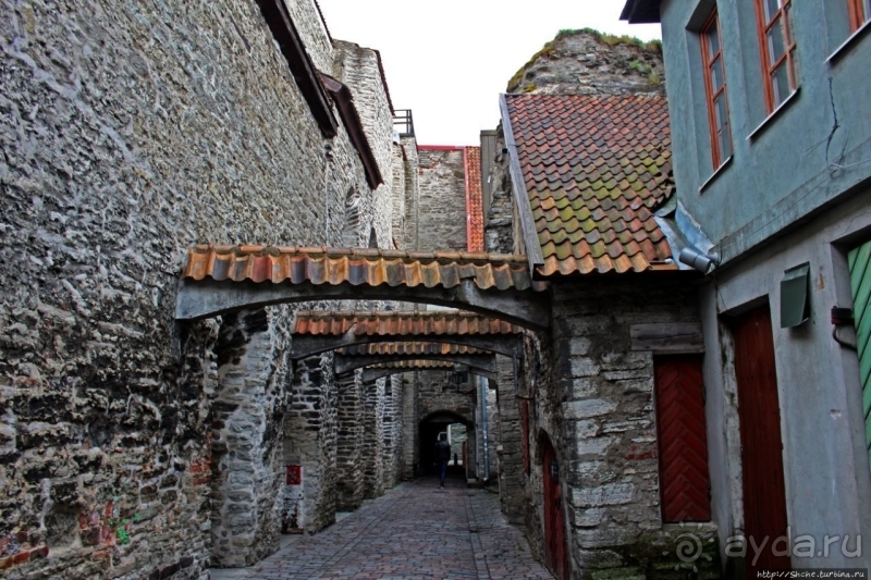 По Старому Таллину с Иваном ivankutchin