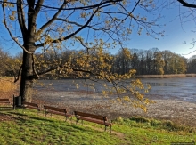 Мошненский замок — однозначно один из красивейших в Польше