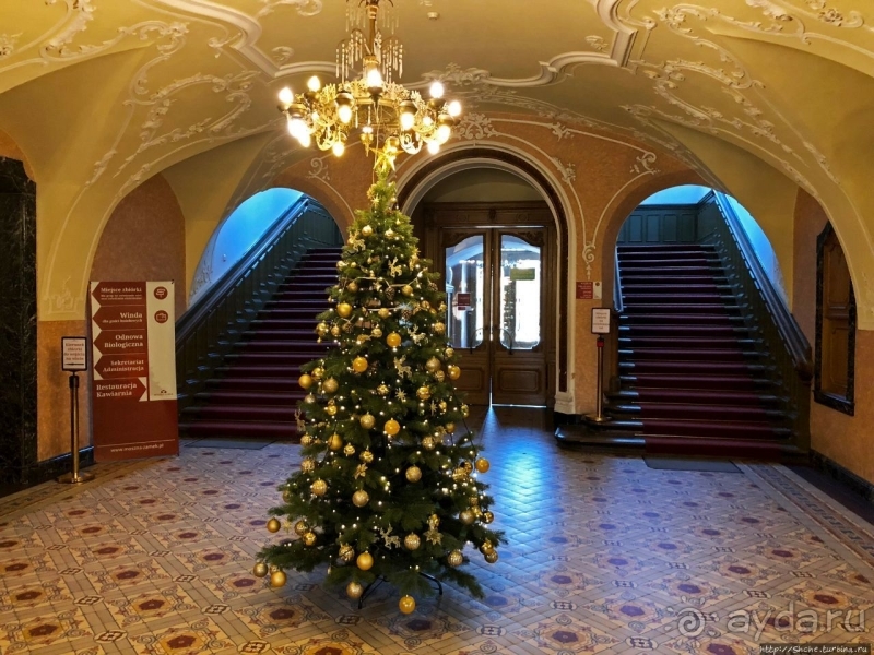 Мошненский замок — однозначно один из красивейших в Польше