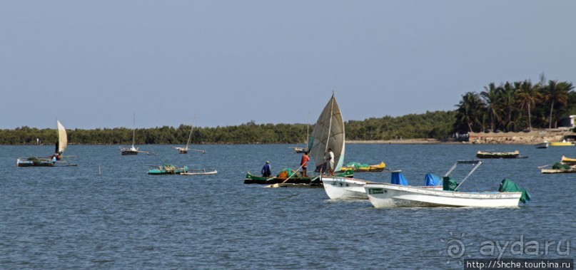 Рыбацкая бухта в Тулиаре. Прилив, рыбаки возвращаются