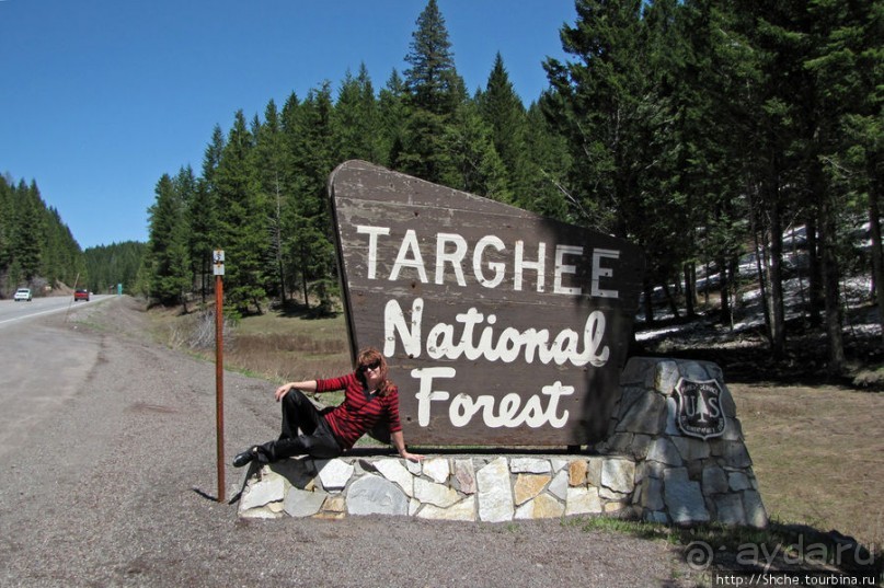 Проезжаем через Targhee National Forest по US 20