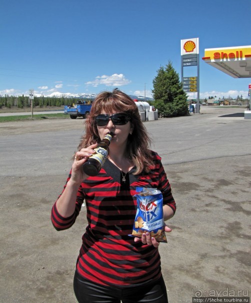 Проезжаем через Targhee National Forest по US 20