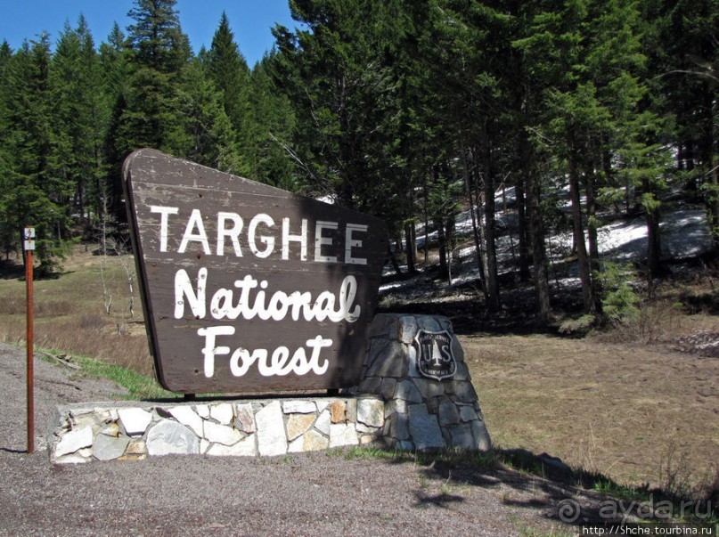 Проезжаем через Targhee National Forest по US 20