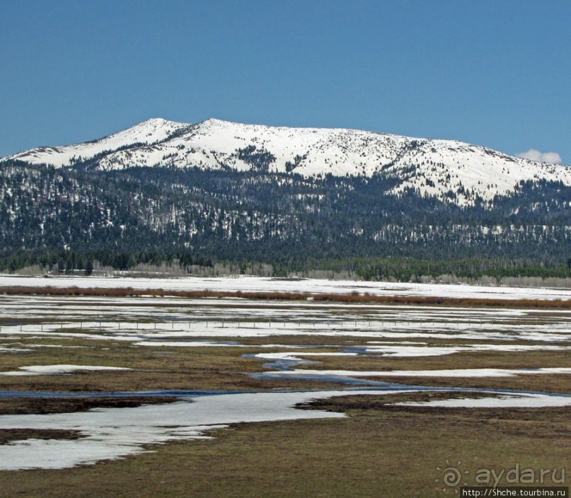 Проезжаем через Targhee National Forest по US 20