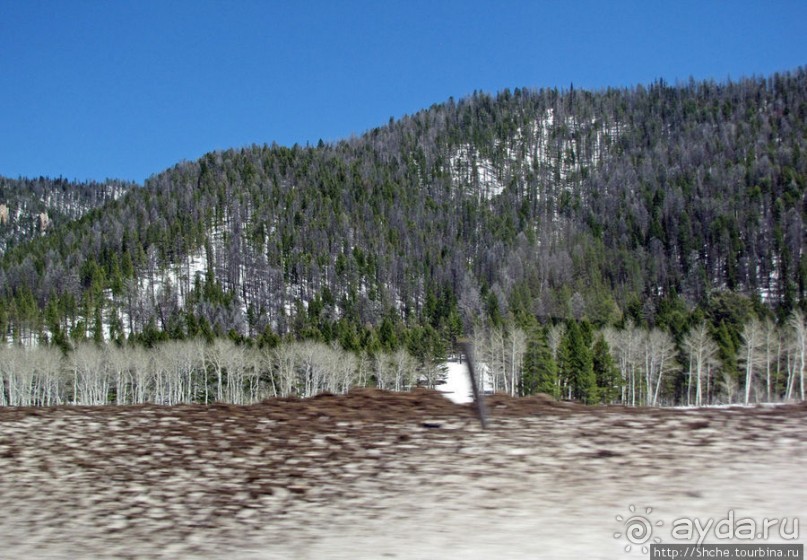 Проезжаем через Targhee National Forest по US 20