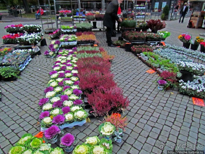 Пешеходная зона Мальме