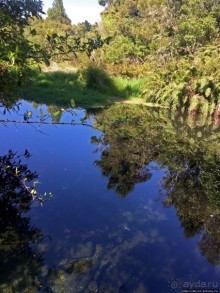 фото Тонгариро