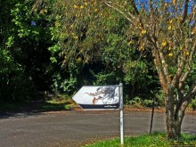 фото Тонгариро