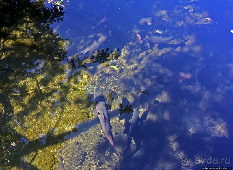 фото Тонгариро