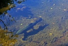 фото Тонгариро