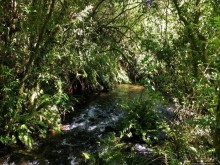 фото Тонгариро