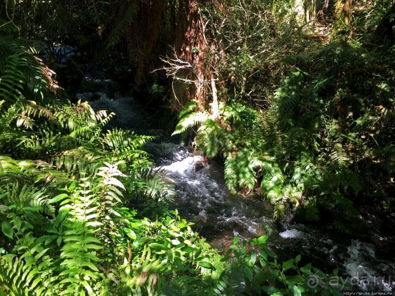 фото Тонгариро