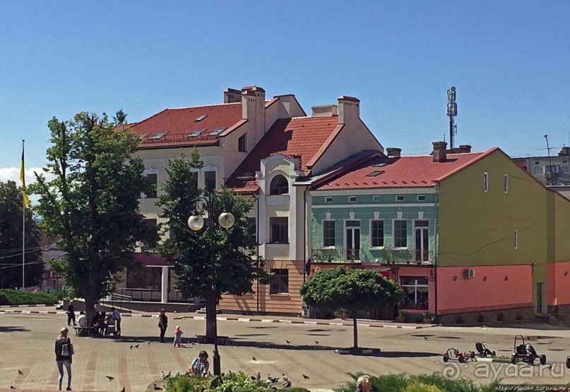 В гостях у тещи