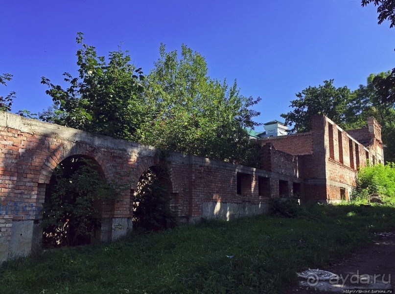 В гостях у тещи