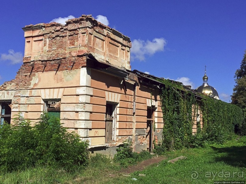 В гостях у тещи