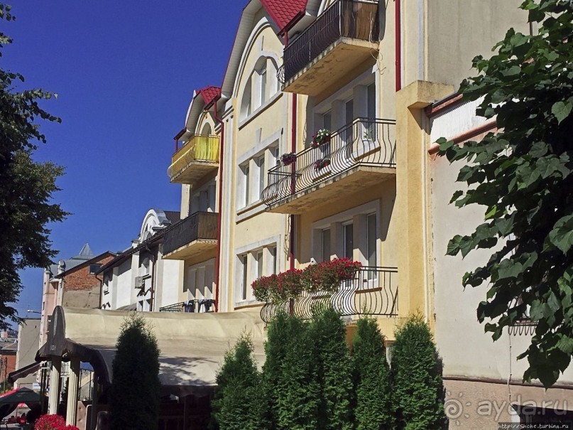 В гостях у тещи