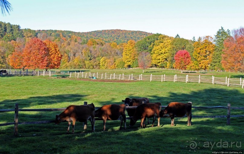 В гостях у Радуги. Рокфеллеровские места Вермонта