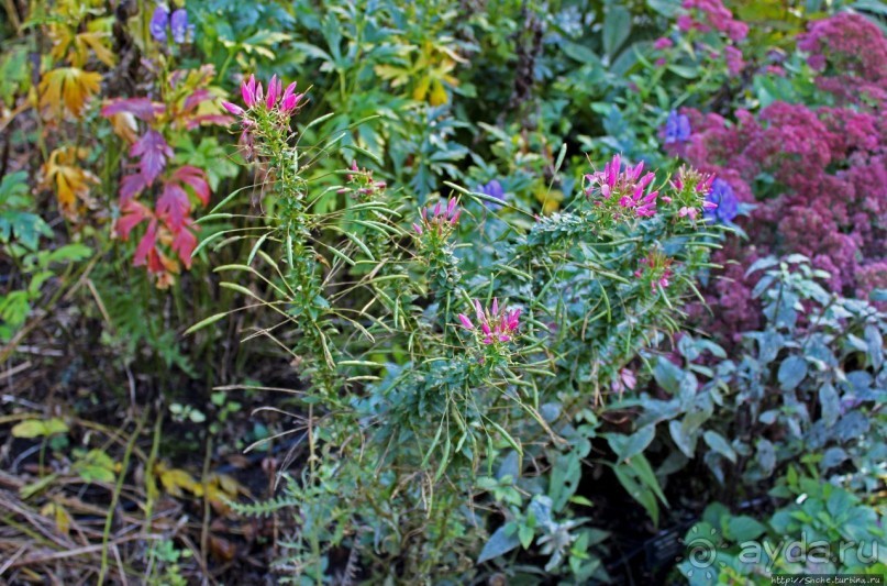 В гостях у Радуги. Рокфеллеровские места Вермонта