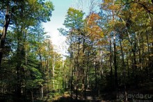 В гостях у Радуги. Рокфеллеровские места Вермонта