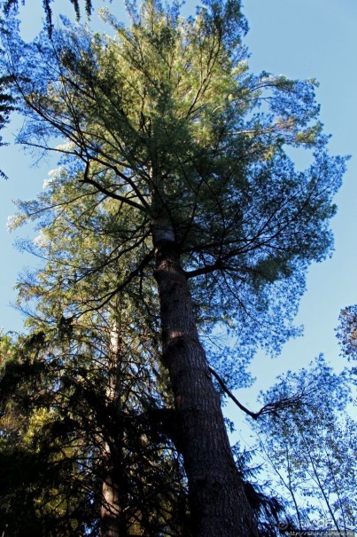 В гостях у Радуги. Рокфеллеровские места Вермонта