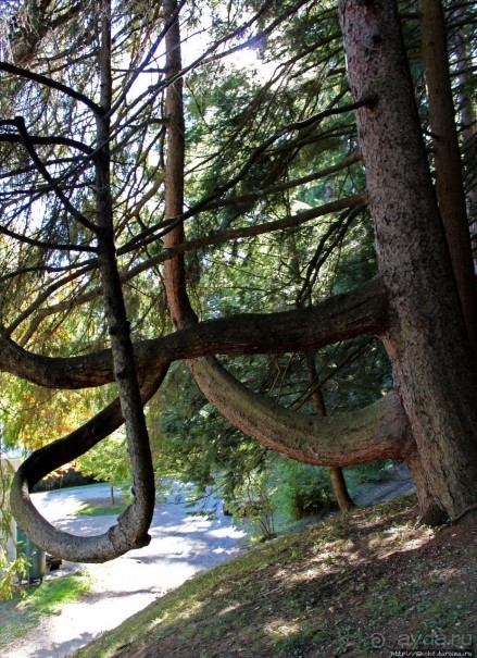 В гостях у Радуги. Рокфеллеровские места Вермонта